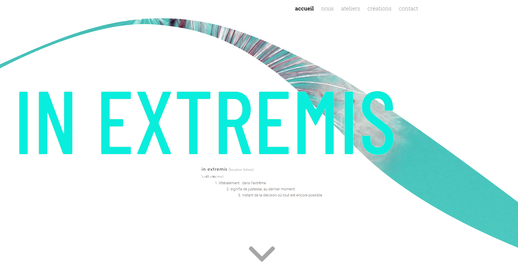 Site internet de l'association In Extremis